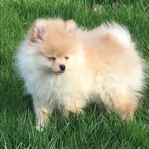 Meet your Posher, Jessica